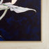 Calla Lilies (Bert Savoy) with Constantine Frame, 24.5" x 28.5"