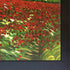 Field of Poppies with New Age Black Frame, 34.75" x 44.75"