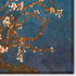 Branches of an Almond Tree in Blossom with Gallery Wrap, 28" x 38"